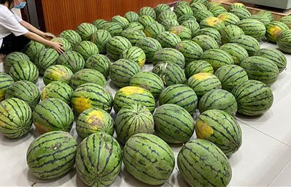 企业动态